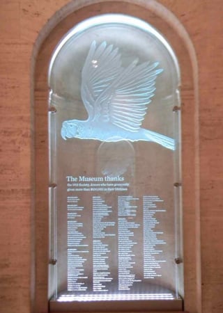 Partition showcasing a Frosted Glass Wildlife Design with Sandblast Etched Glass Art by Sans Soucie Natural History Museum LA Parrot Design