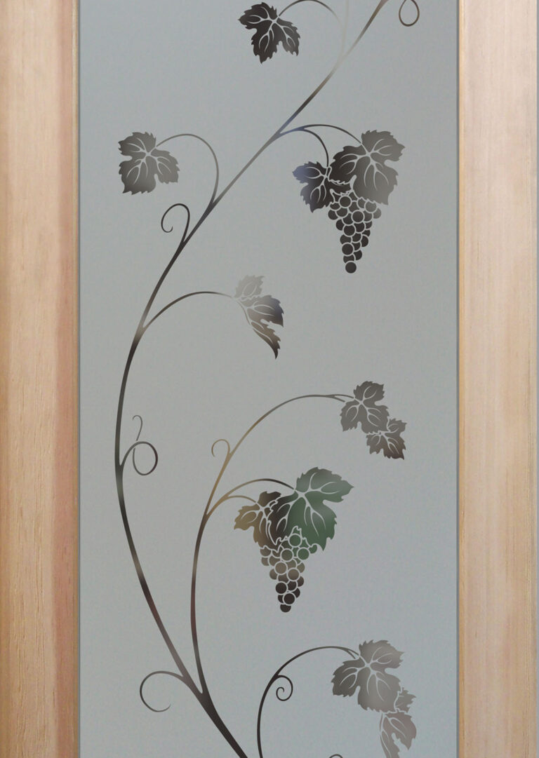 Vineyard Grapes Unfurled
