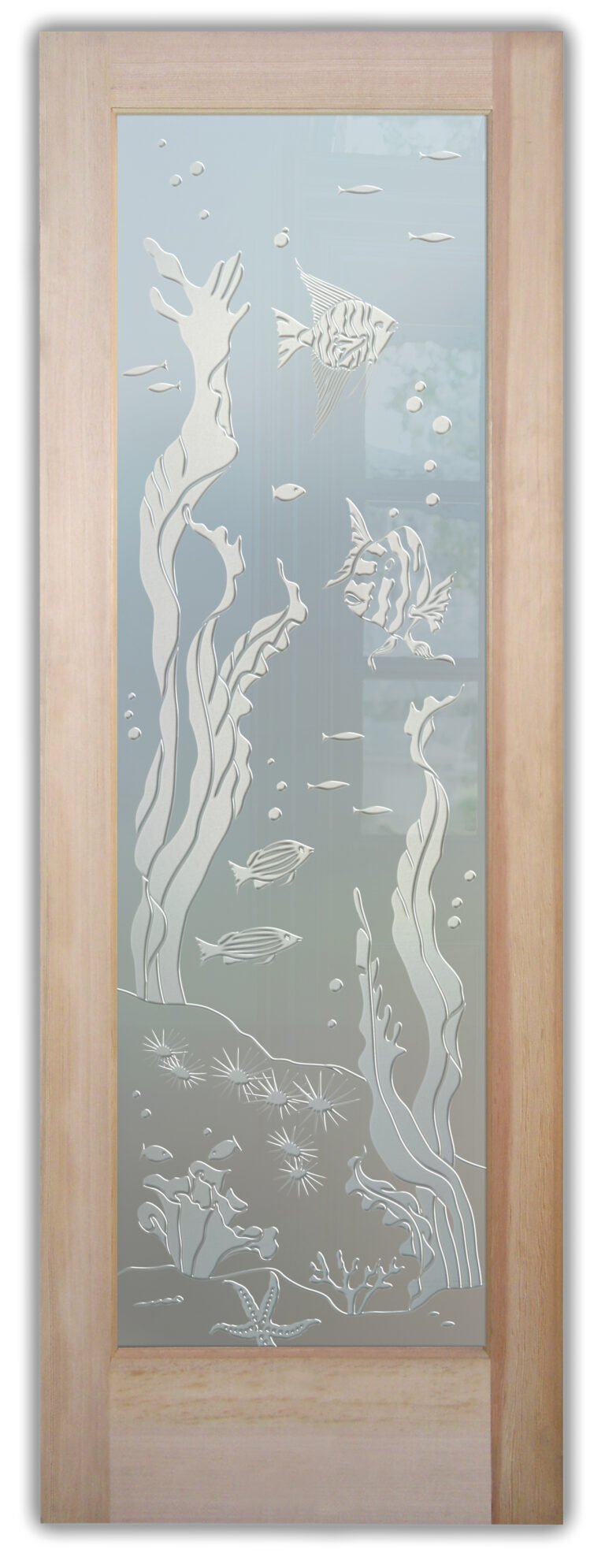Aquarium Fish