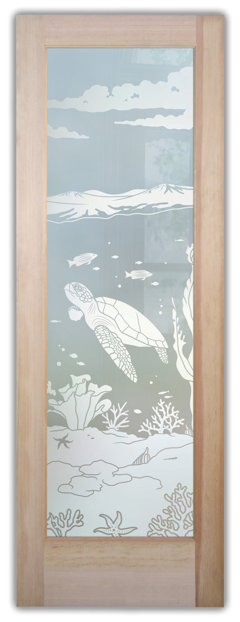 Aquarium Sea Turtle
