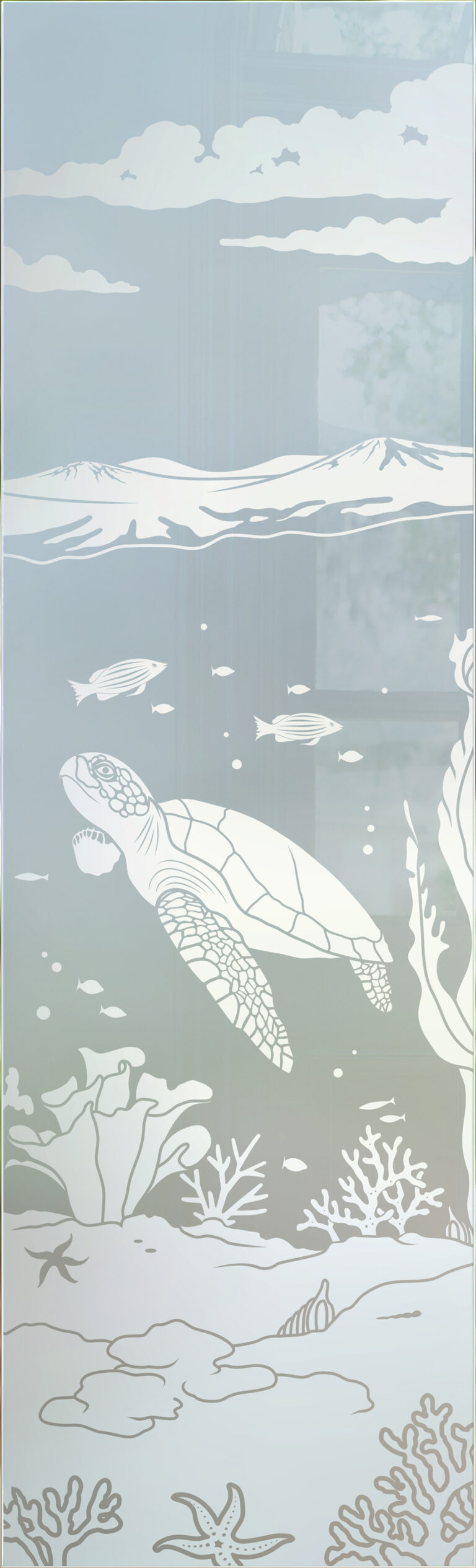 Aquarium Sea Turtle