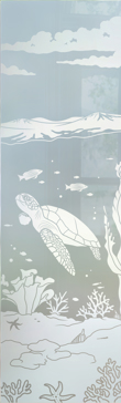 Aquarium Sea Turtle