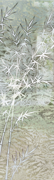 Bamboo Forest