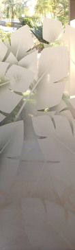 Banana Leaves