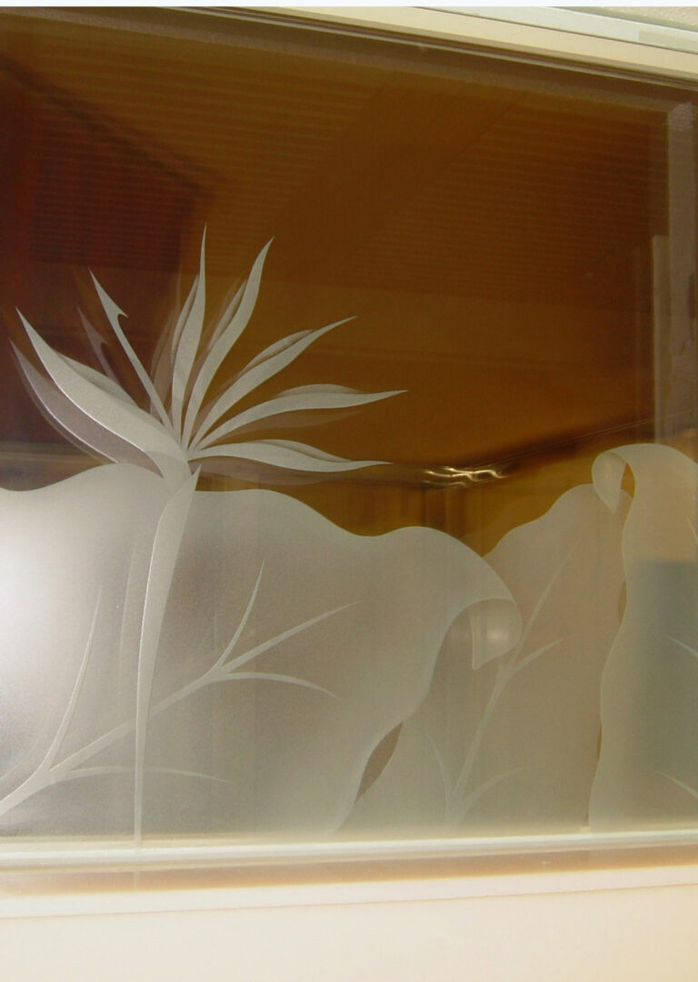 Bird of Paradise