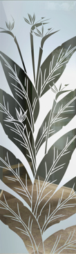 Bird of Paradise