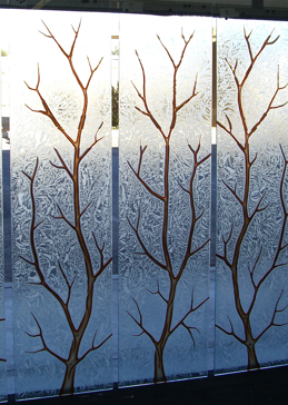Window with a Frosted Glass Branch Out Trees Design for Semi-Private by Sans Soucie Art Glass