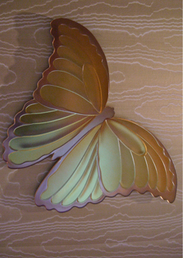 Butterflies