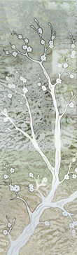 Cherry Blossom