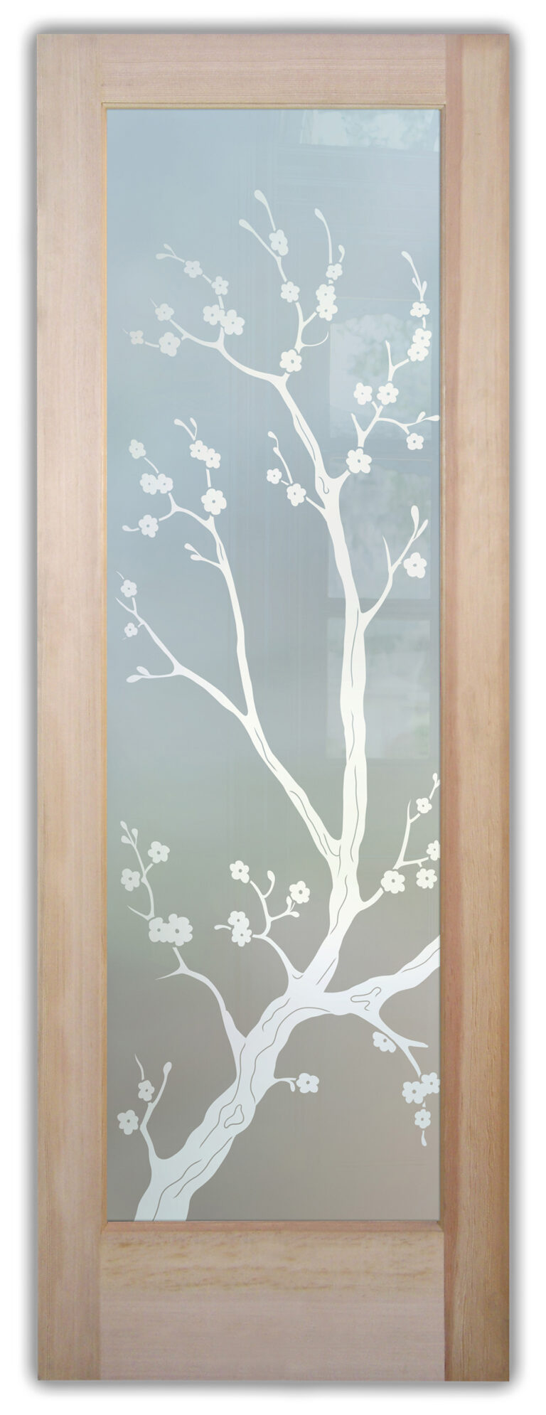 Cherry Blossom