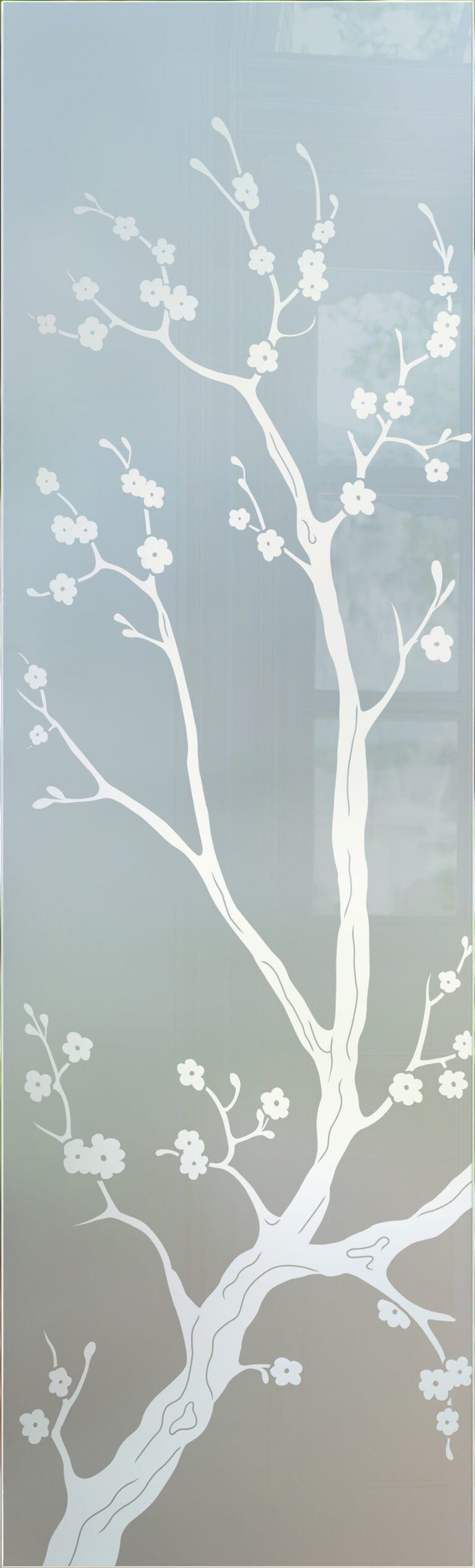 Cherry Blossom