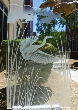 Swooping Egret