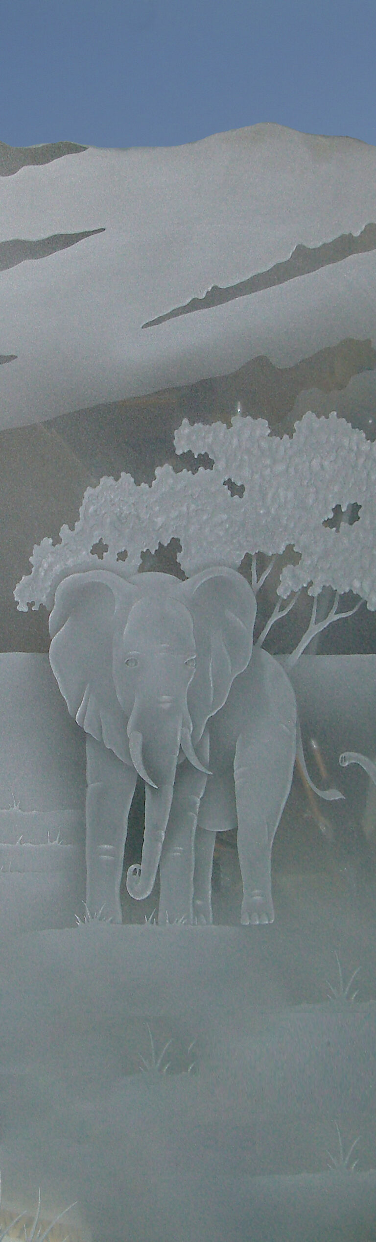 Elephants in the Wild