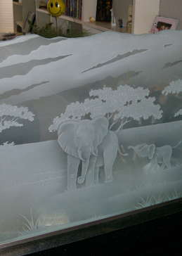 Elephants in the Wild