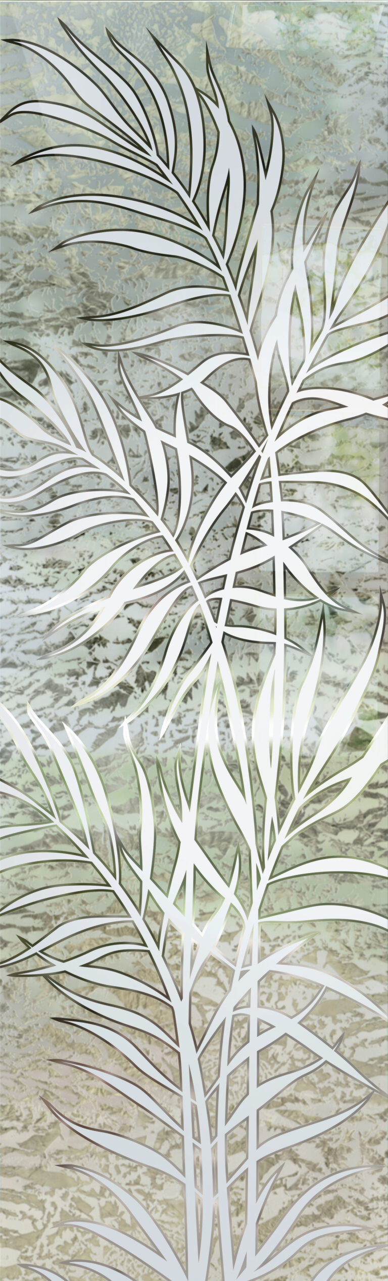 Ferns