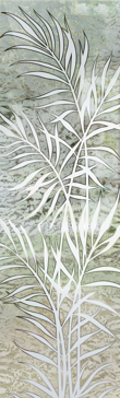 Ferns