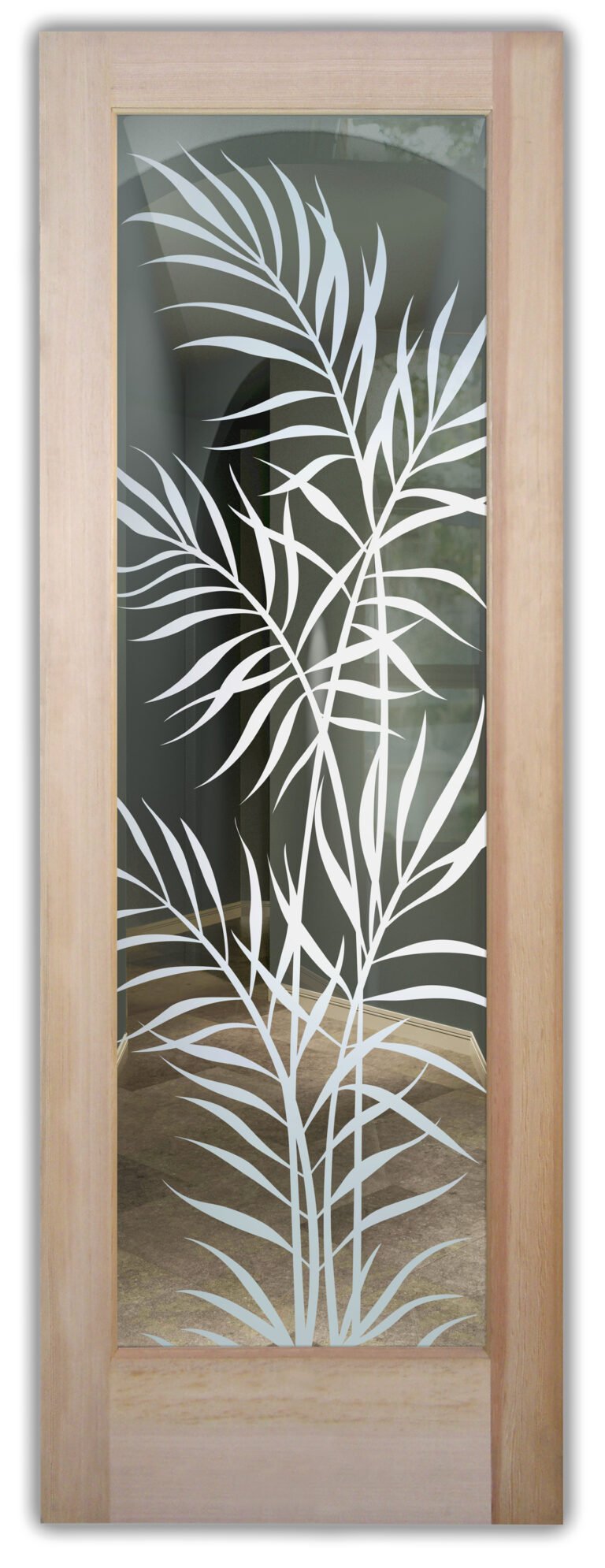 Ferns