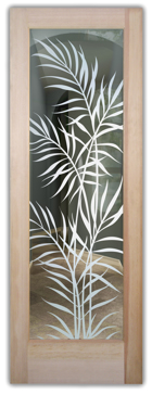 Ferns