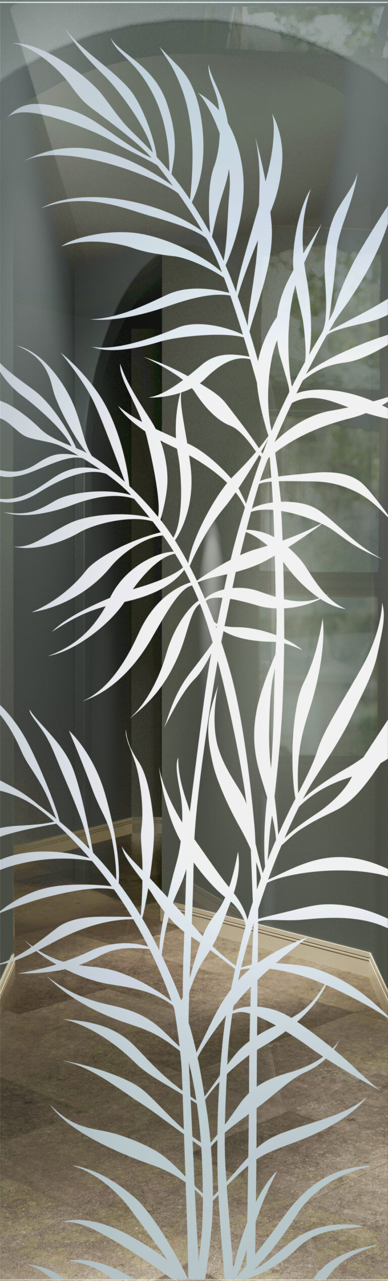 Ferns