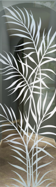 Ferns