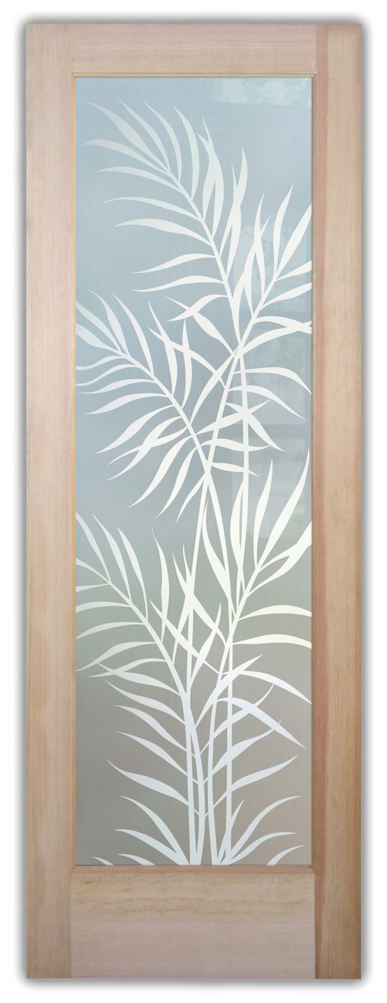 Ferns
