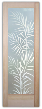 Ferns