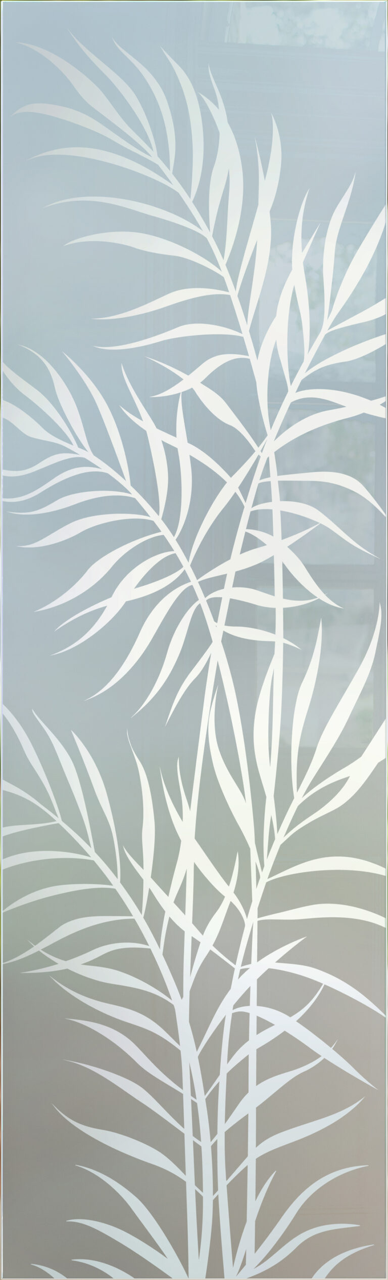 Ferns