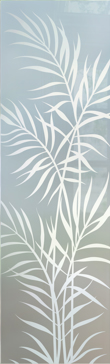 Ferns