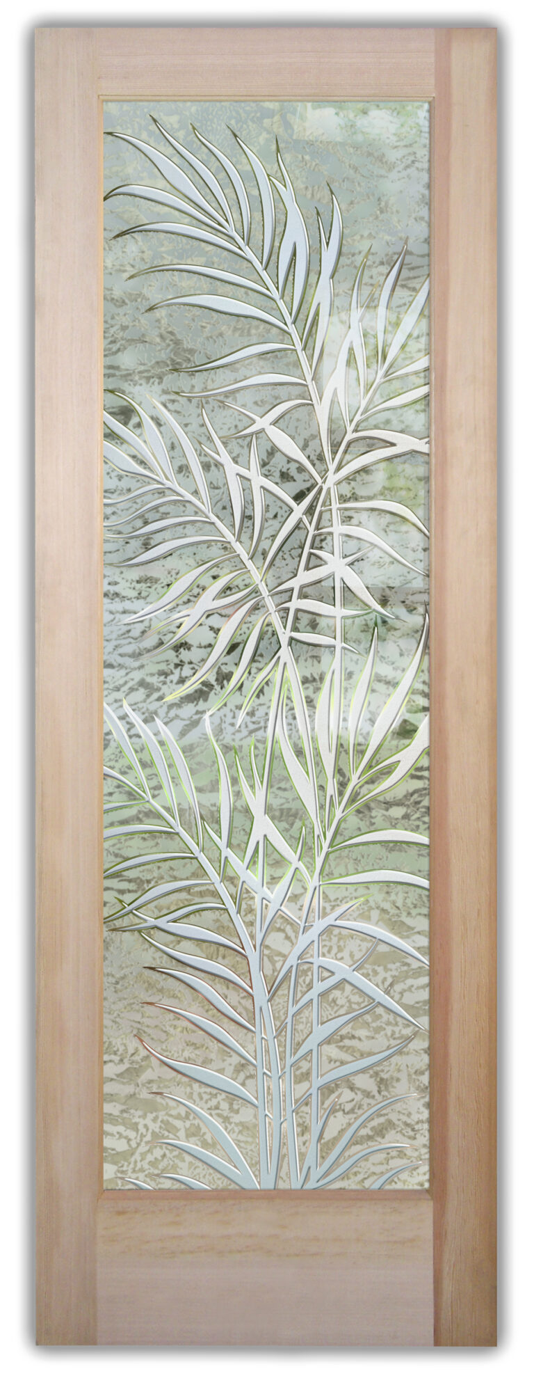 Ferns