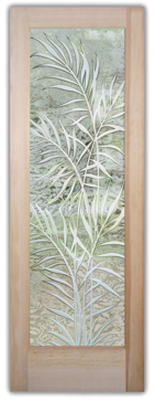 Ferns