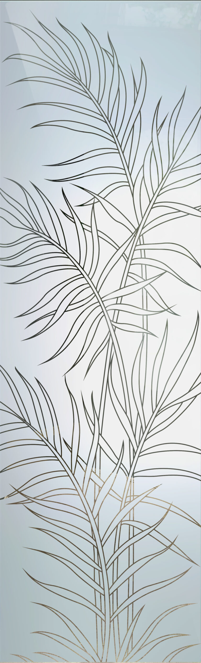 Ferns