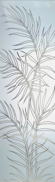 Ferns