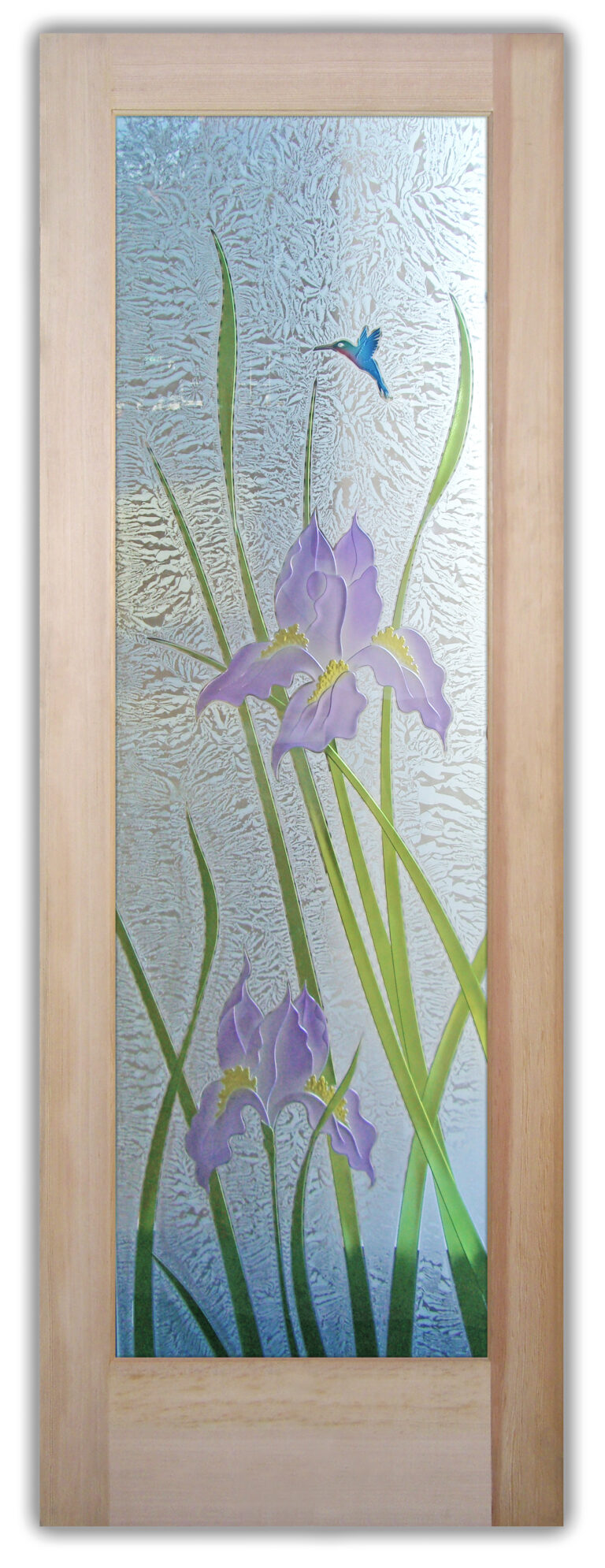 Iris Hummingbird