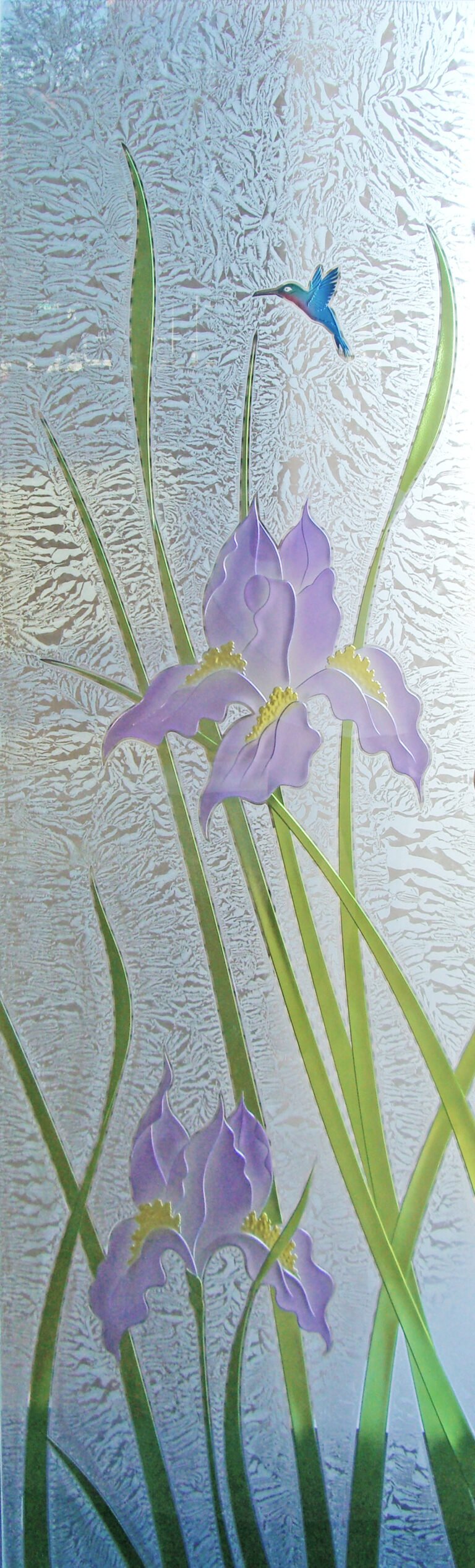 Iris Hummingbird