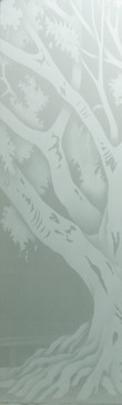 Oak Tree II