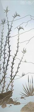 Ocotillo