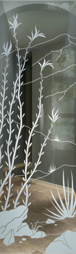 Ocotillo