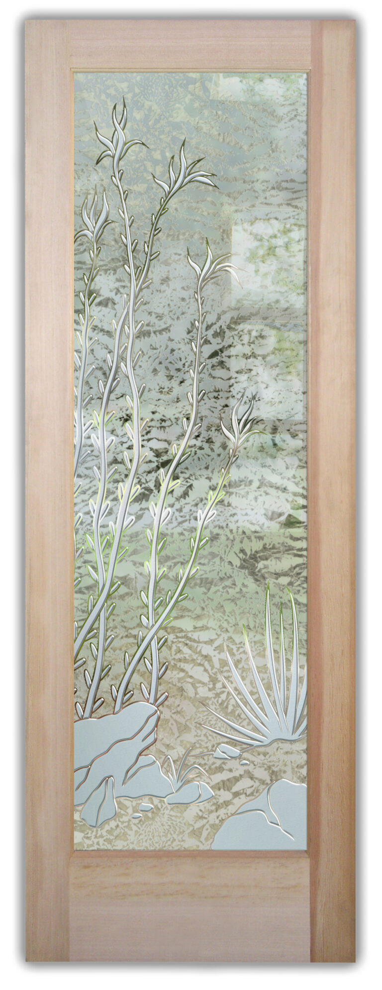 Ocotillo