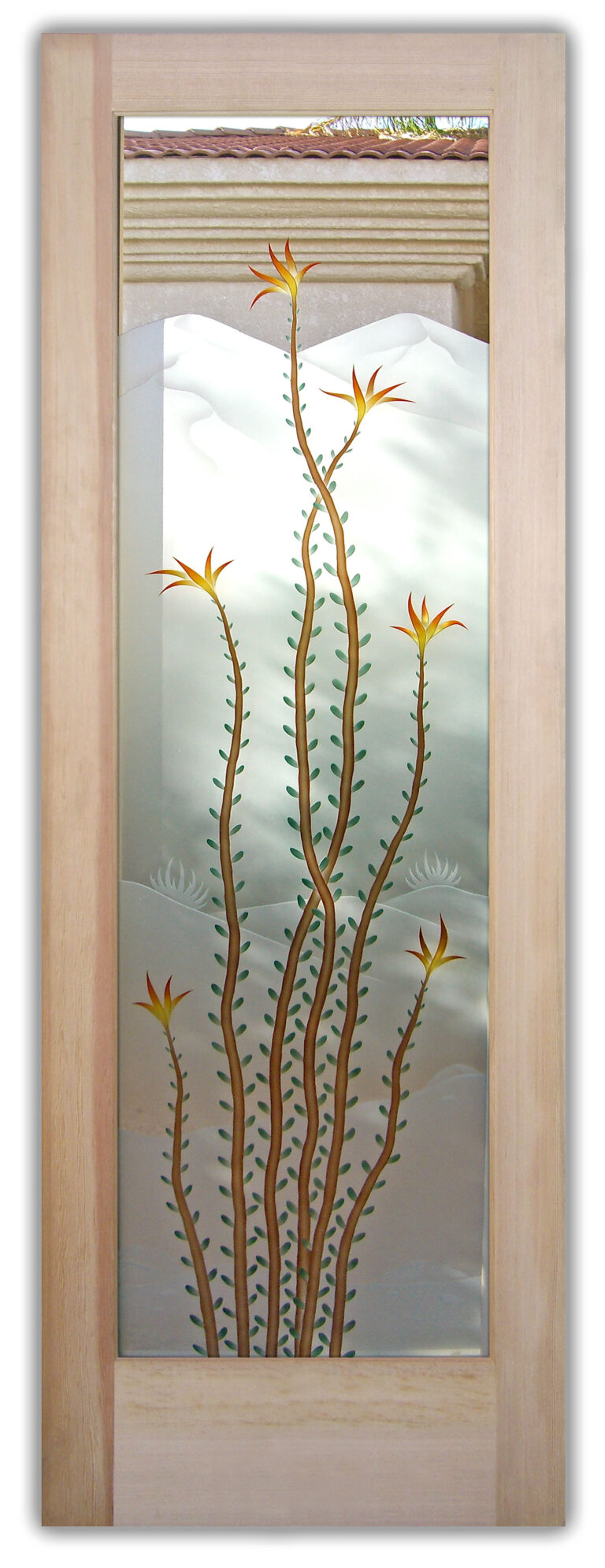 Ocotillo Centered
