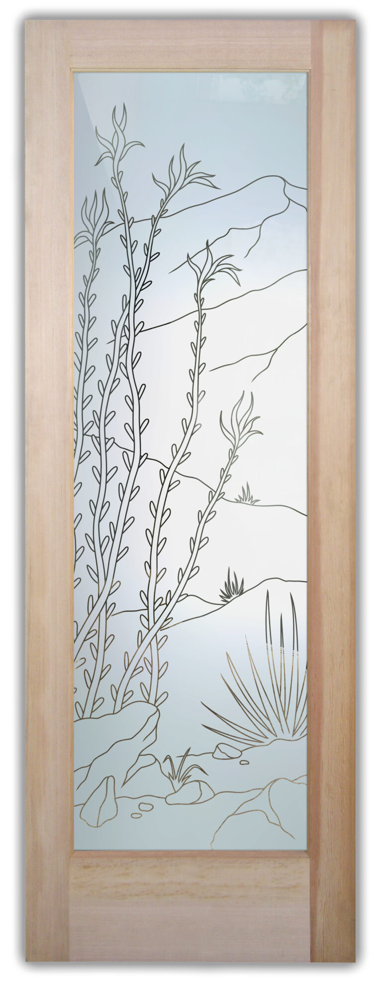 Ocotillo