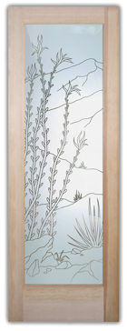 Ocotillo