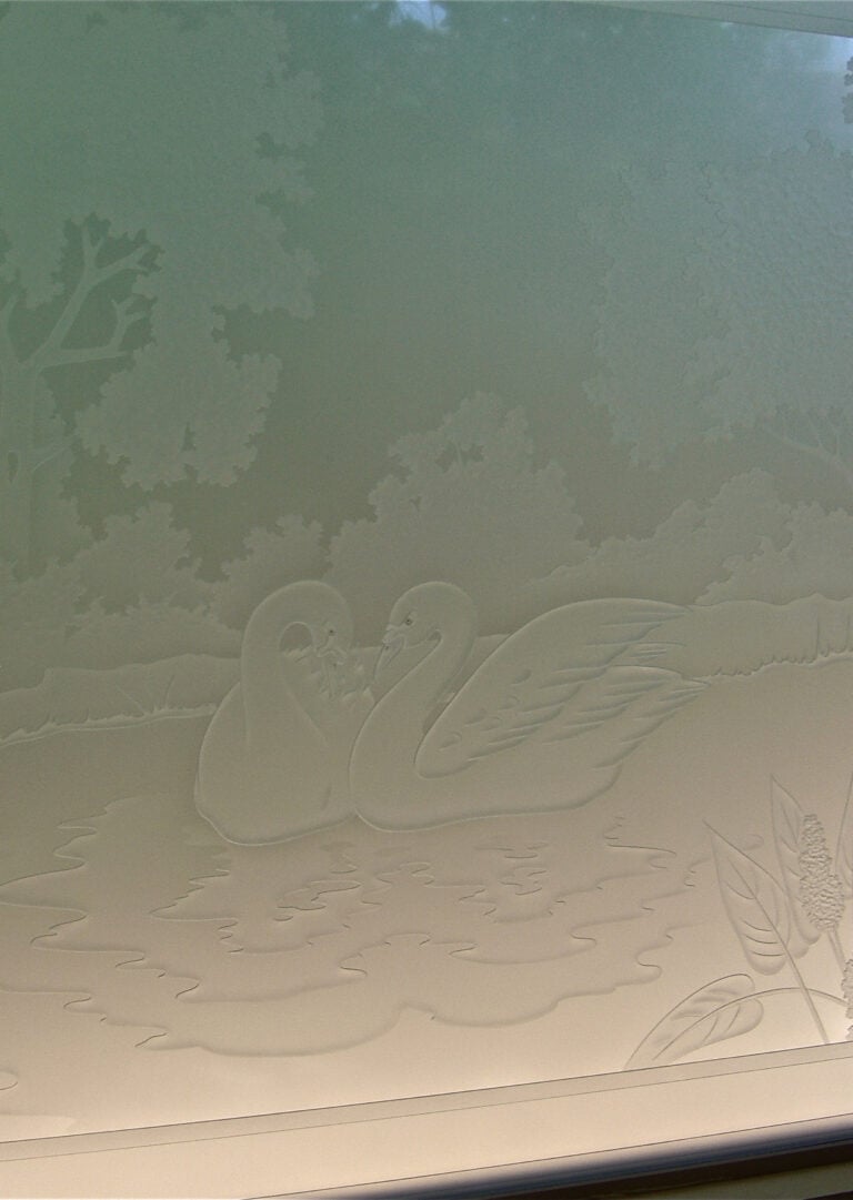 Wading Swans