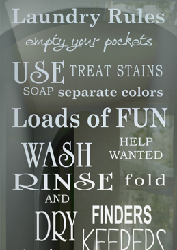 Art Glass Theme Room Insert Featuring Sandblast Frosted Glass by Sans Soucie for Not Private with Sayings Laundry Rules Design