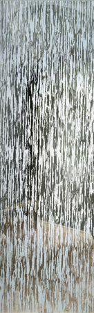 Door Glass Insert with a Frosted Glass Tree Bark Patterns Design for Semi-Private by Sans Soucie Art Glass