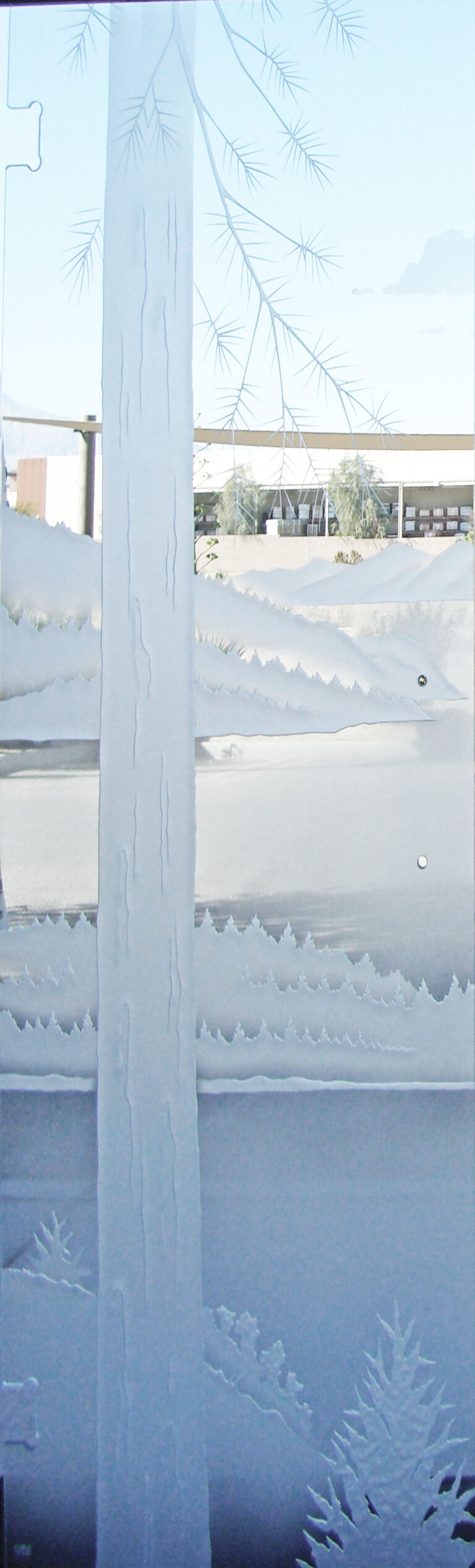 Views thru the Pine
