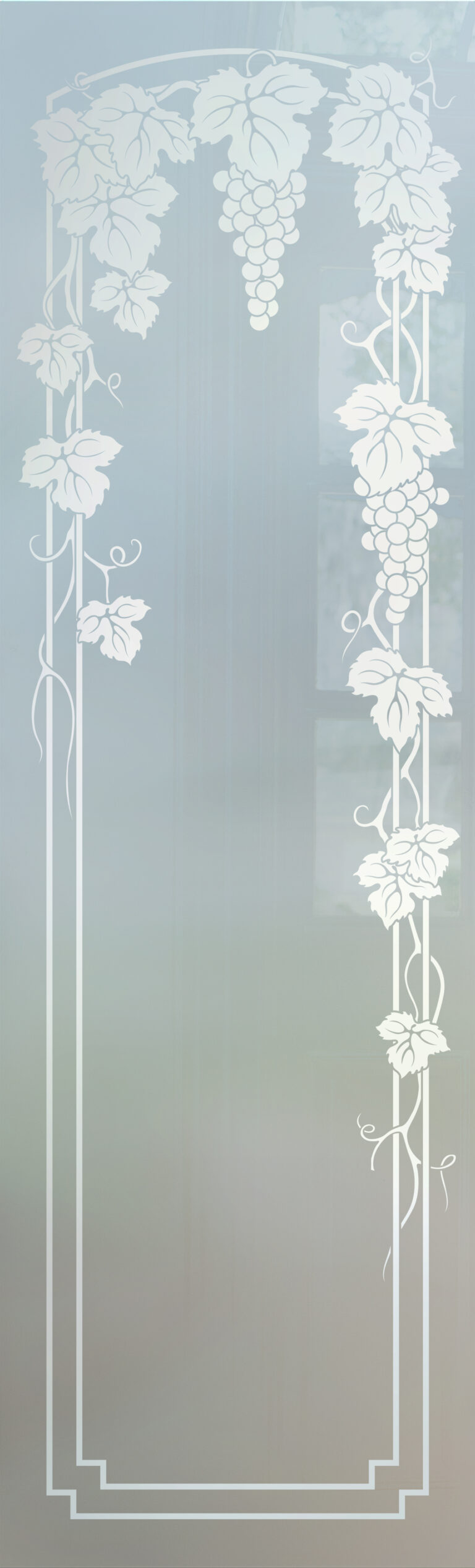 Vineyard Grapes Trellis