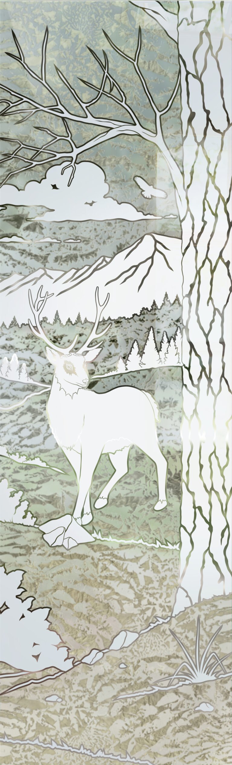 Wandering White Tail
