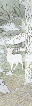 Wandering White Tail