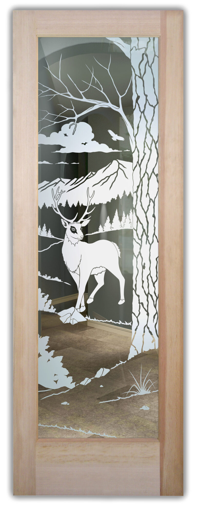 Wandering White Tail