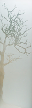 Winter Tree